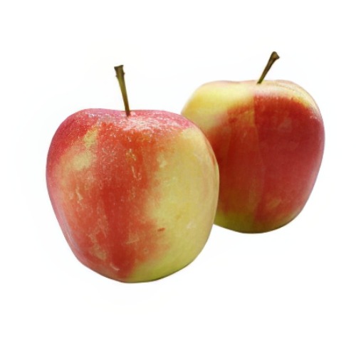 Elstar appel per stuk